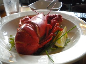 "lobster"